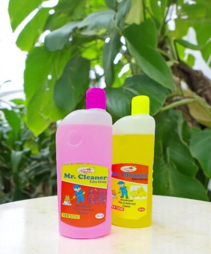 Radstore Plus Mr. Floor Cleaner
